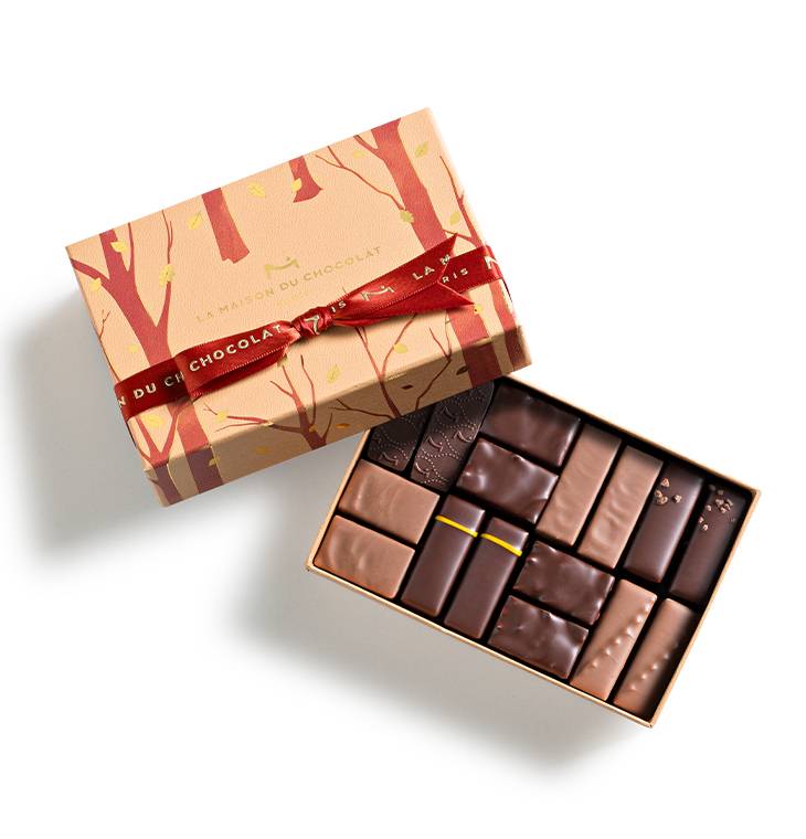 Autumn Gesture Gift Box 16 chocolates