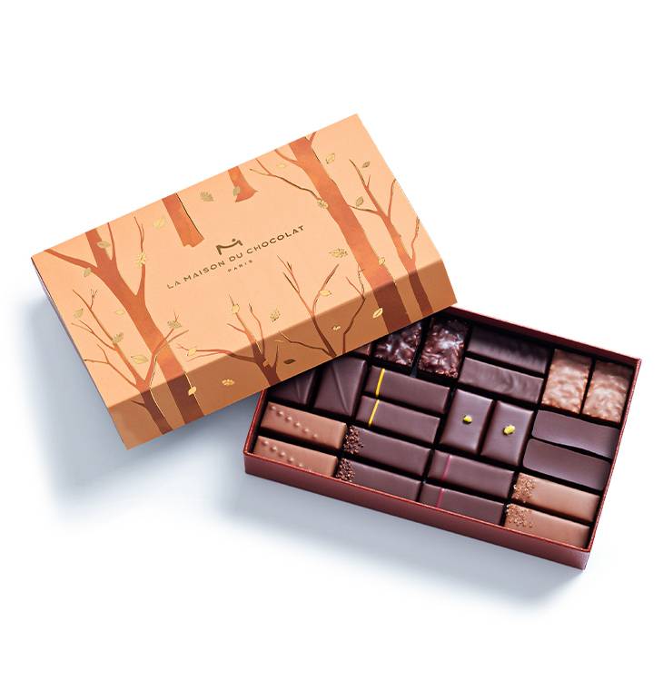 Coffret Maison Noir et Lait Automne 24 chocolats