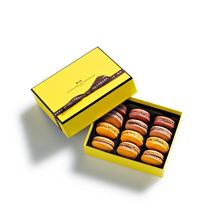 Macaron Gift Box  12 pieces