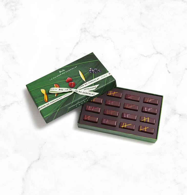 Coffret 16 chocolats Vegan | La Maison du Chocolat | Boîte de chocolats aux fruits | Chocolats sans lactose | Chocolats végétariens