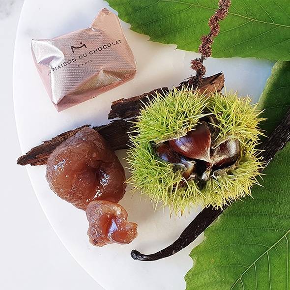 Coffret de Marrons glacés Cognac sans additif - Confiseur de Luxe