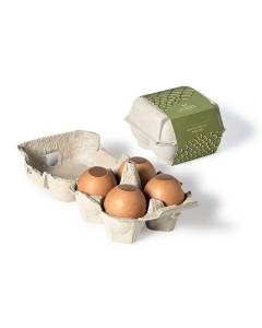 Coquille Praline Easter Egg Carton on a white background