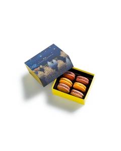 Coffret Macarons Vents de Noël 6 pièces semi-ouvert sur un fond blanc