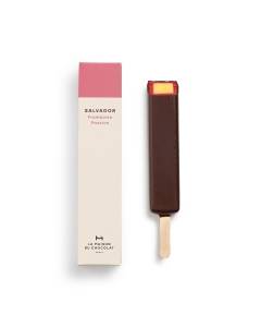 BARRE GLACE SALVADOR KIT 1PCE FR