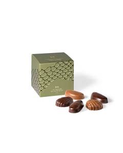 Seashell Chocolate Treats on a white background