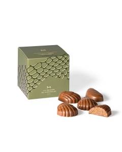 Milk Pralin&eacute; Treat Gift Box in white background