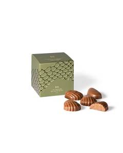 プラリネ コキアージュ クロコ レ