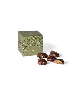 &Eacute;tui coquillages pralin&eacute;s chocolat noir