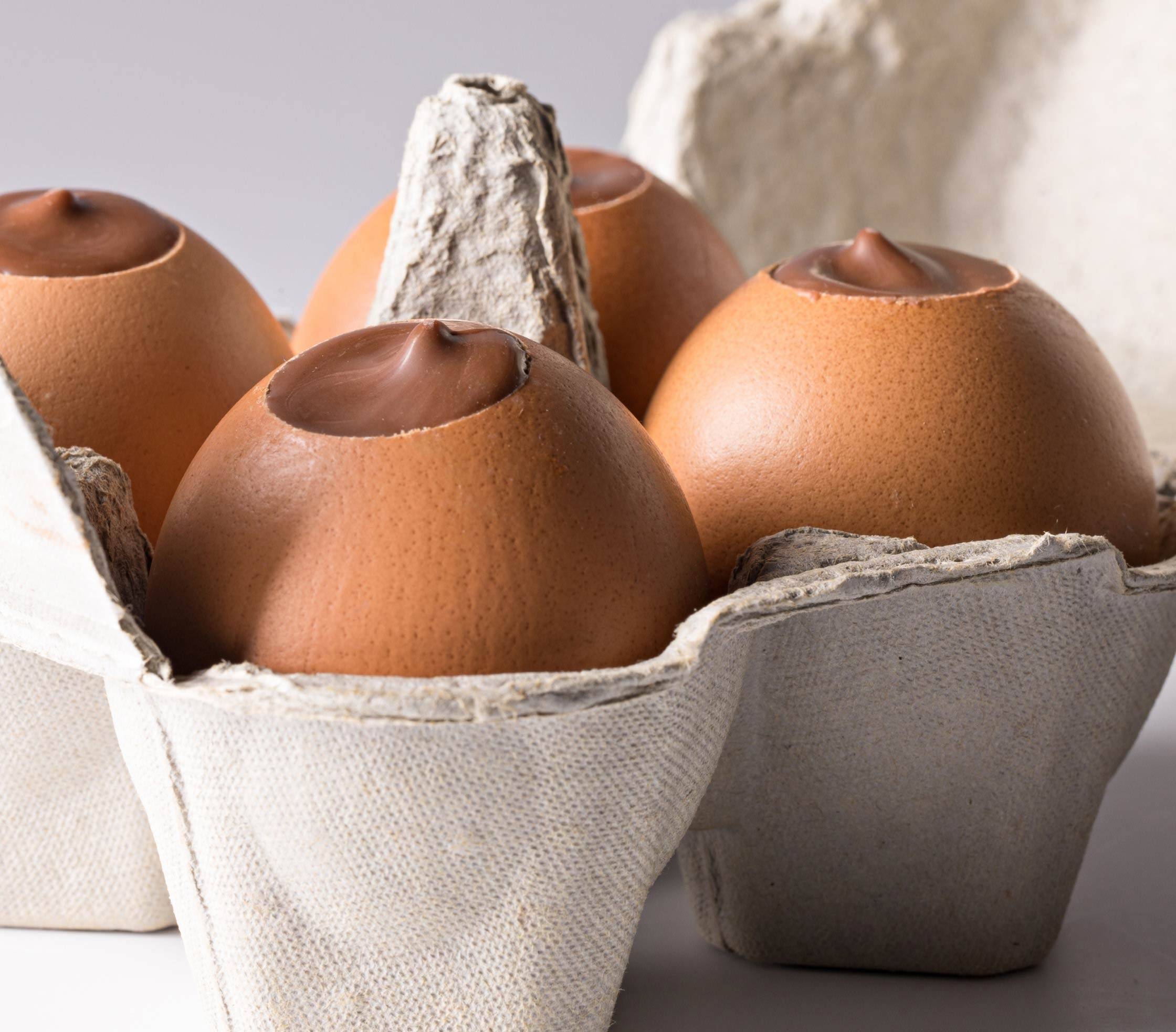 Pralin\u00E9\u0020Easter\u0020Shell\u0020Egg