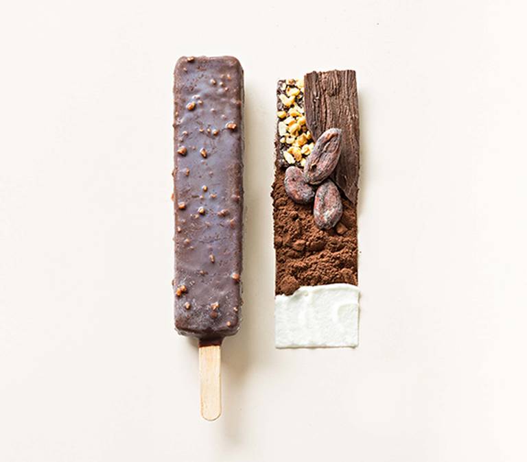 B\u00E2tonnet\u0020Givr\u00E9\u0020Tout\u0020Chocolat