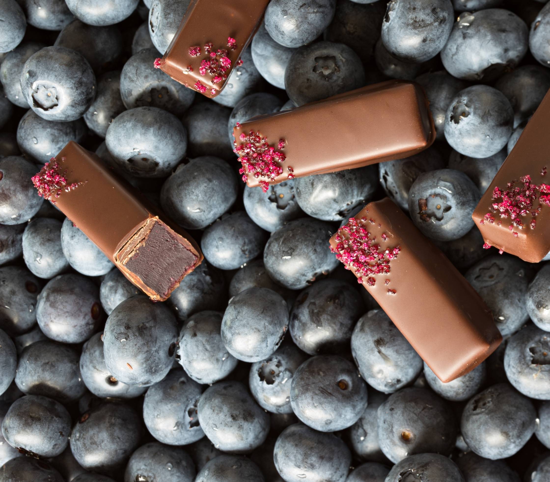 Dark Chocolate Blueberry Gift Box - La Maison du Chocolat