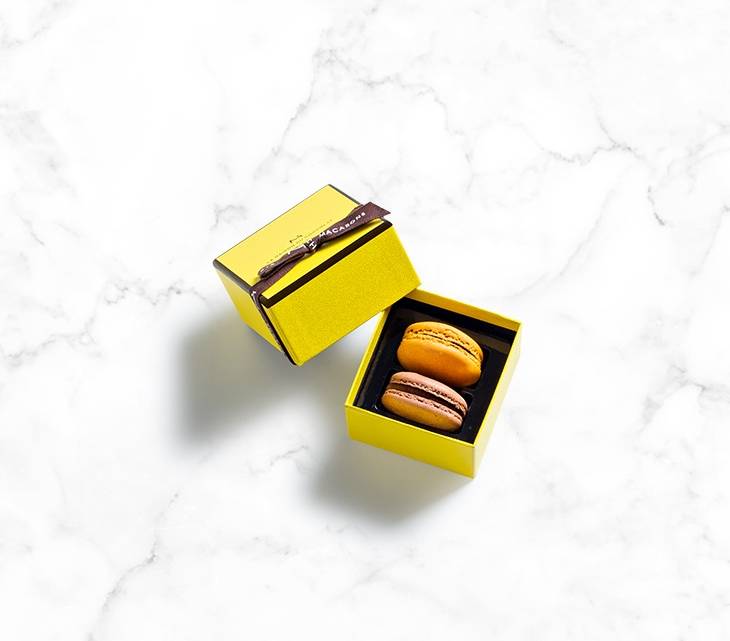 Macaron\u0020Gift\u0020Box\u00202\u0020pieces