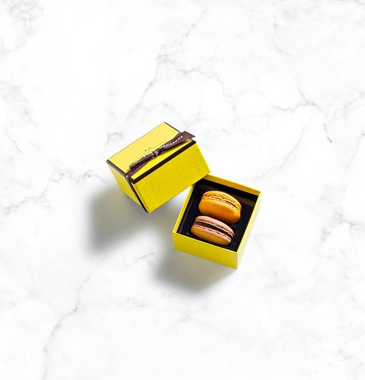 Macaron\u0020Gift\u0020Box\u00202\u0020pieces
