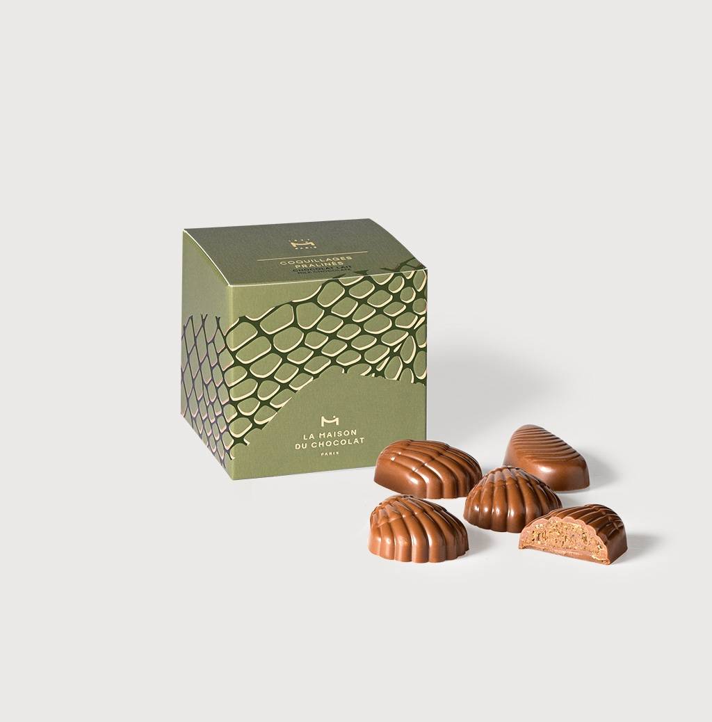 Étui coquillages pralinés chocolat lait sur un fond gris