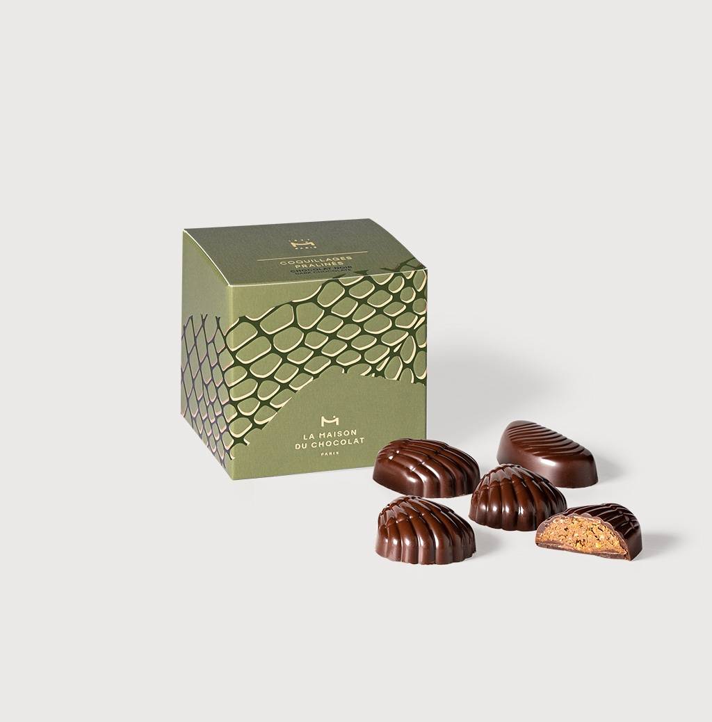 Dark Chocolate Seashell Praline Treats on a gray background