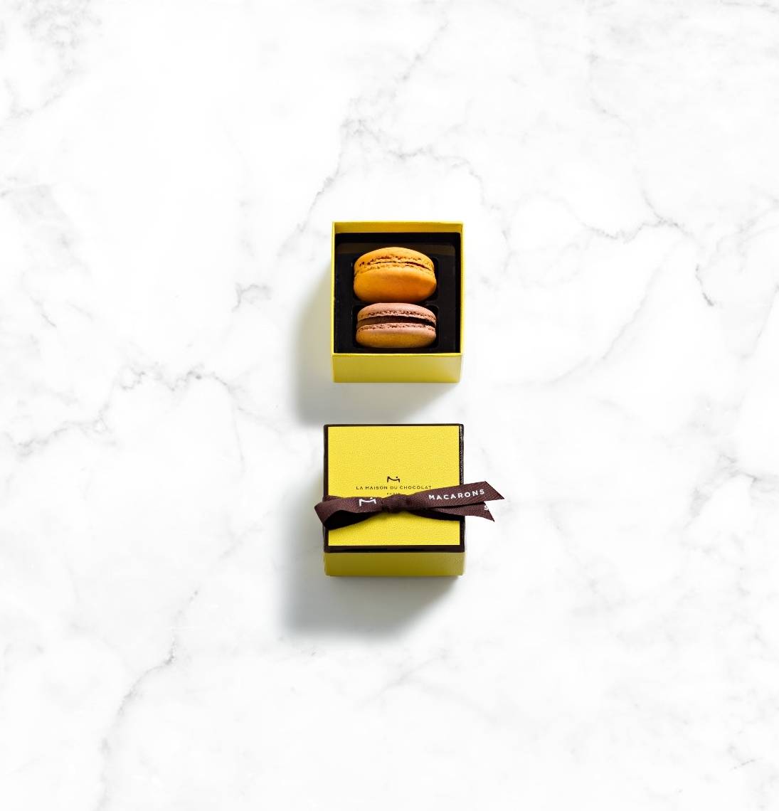 Chocolate Macaron Gift Box 2 Pieces - La Maison du Chocolat