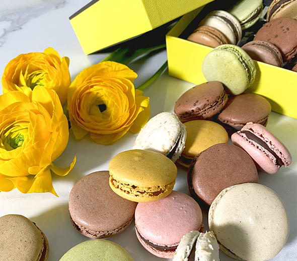 Macaron\u0020Gift\u0020Box\u0020\u002024\u0020pieces