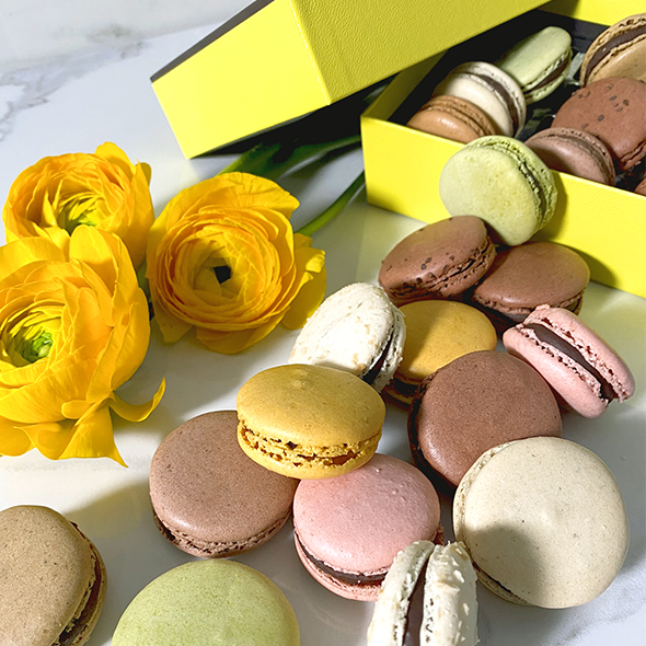Macaron\u0020Gift\u0020Box\u0020\u002024\u0020pieces
