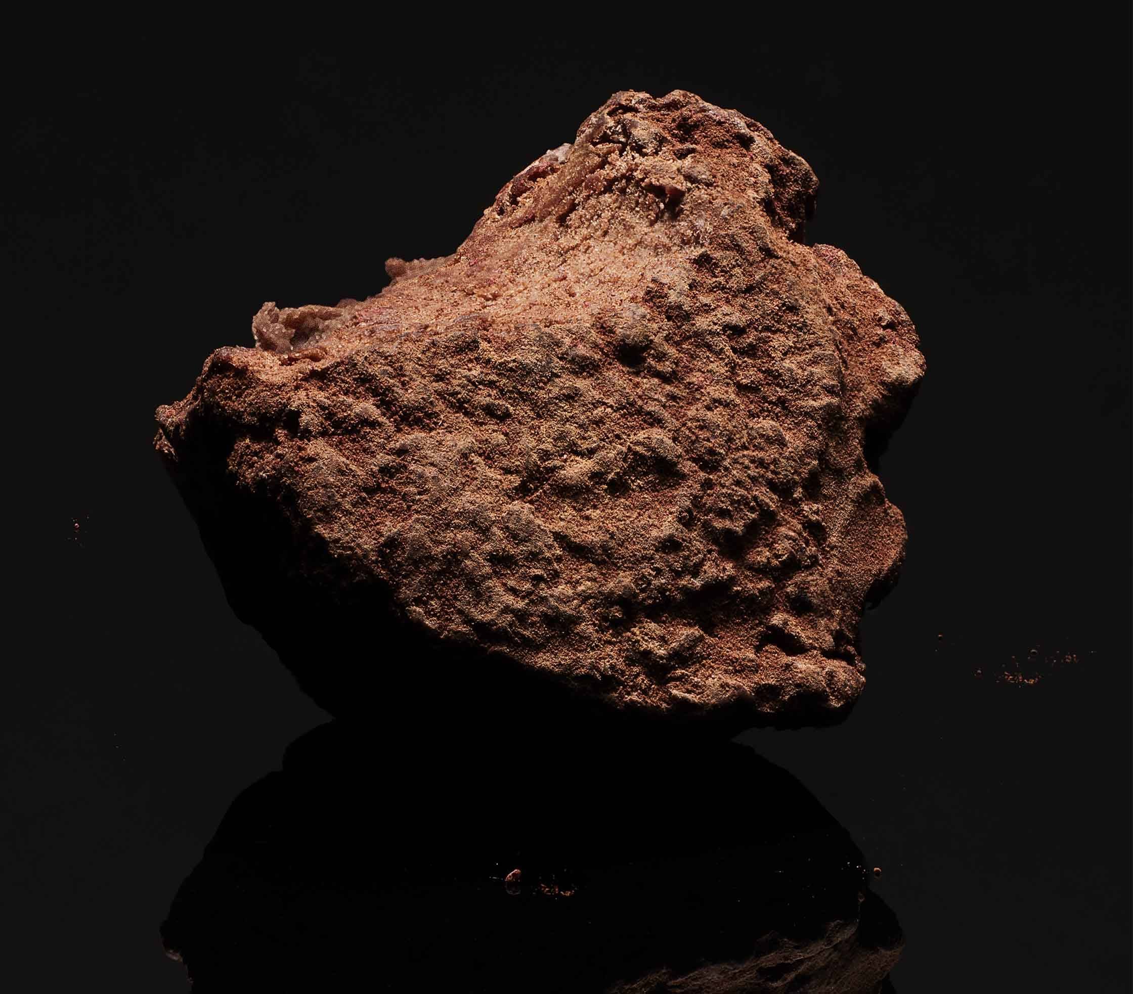 Mise en scène élégante des truffes
