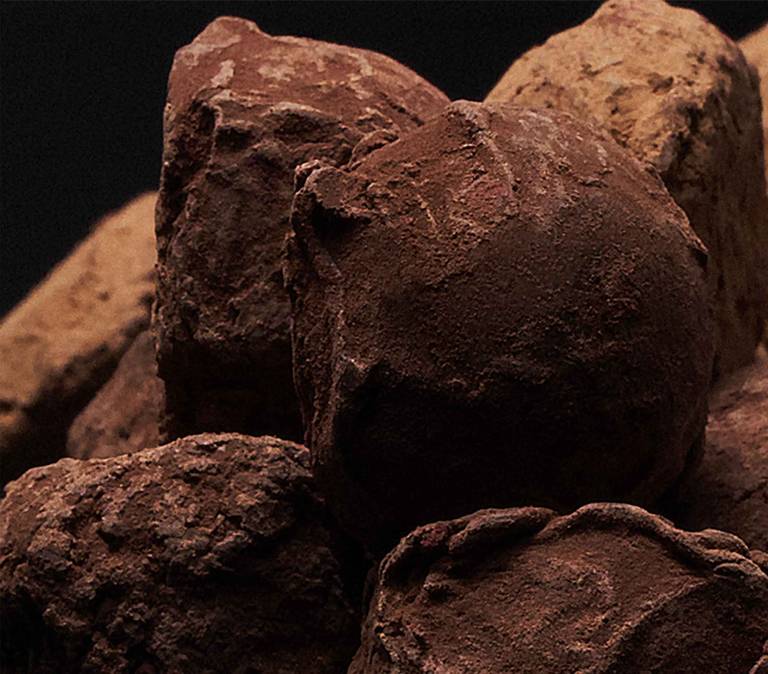 Mise en scène élégante des truffes