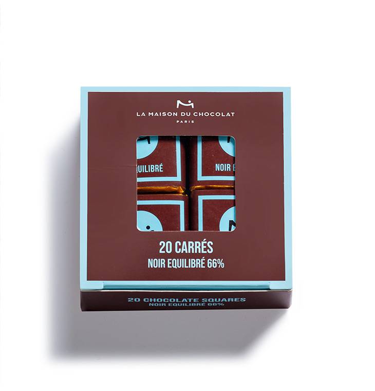 Expert Squares Case