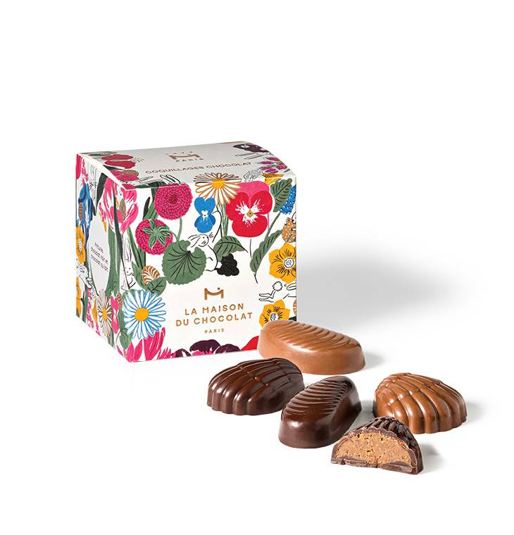 Praliné Maison Shells Box (150g)