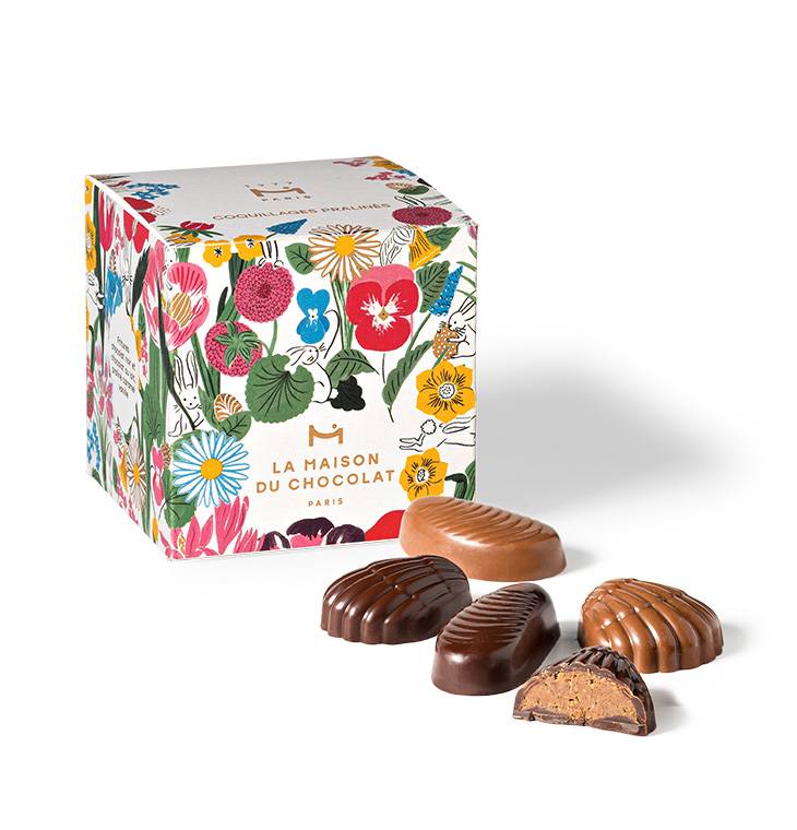 Praliné Maison Shell Box (250g)