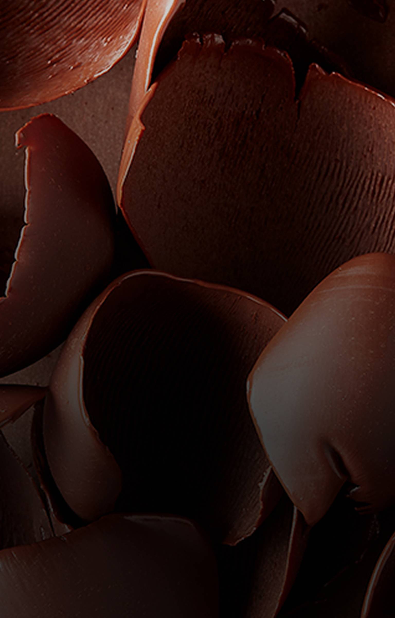 chocolate shavings