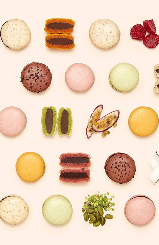 Macaron Chocolate Assortment
