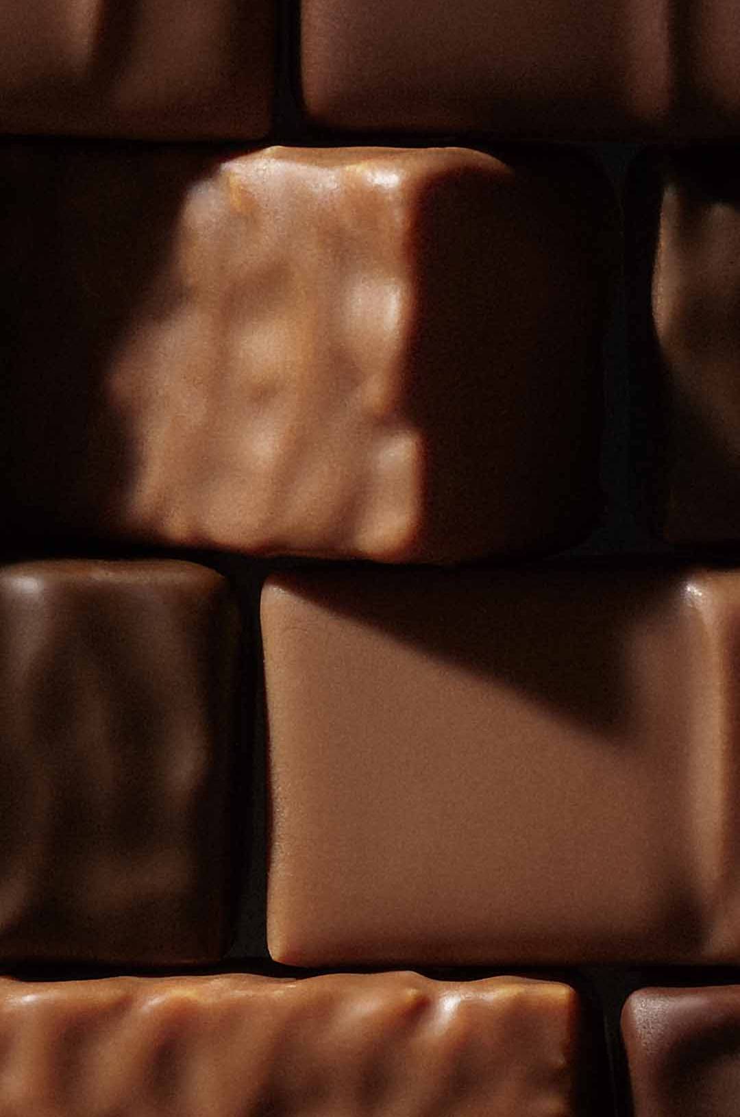 Chocolats pralinés noir et lait