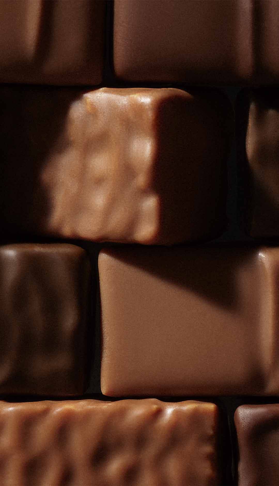 プラリネカテゴリーを紹介するチョコレートのビジュアル