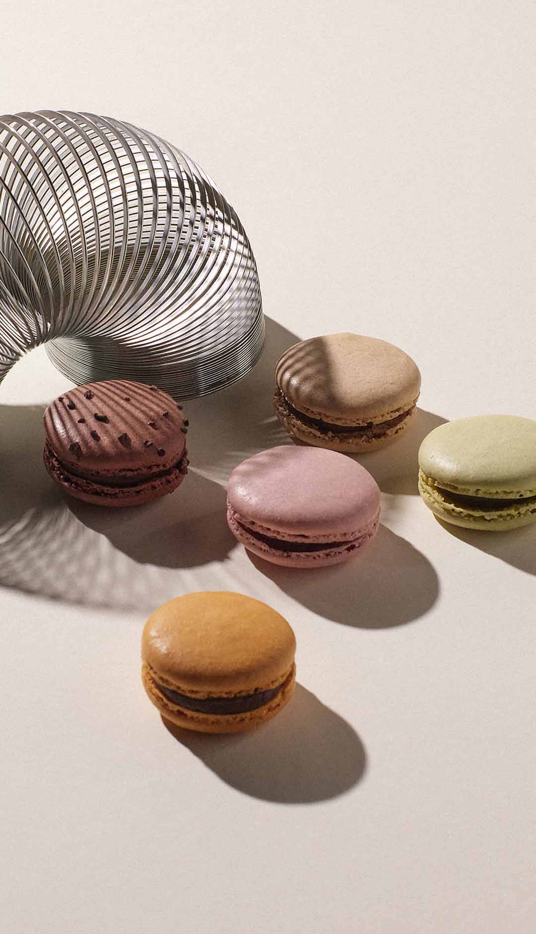 assorted macarons filled with gourmet chocolate ganache