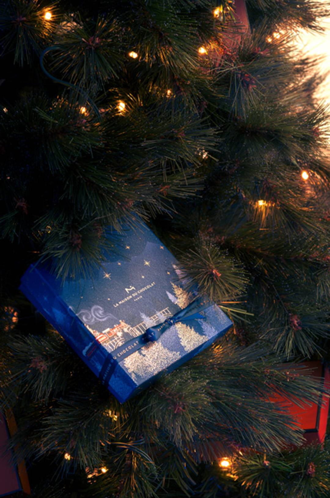 Coffret de chocolat dans un sapin de Noël