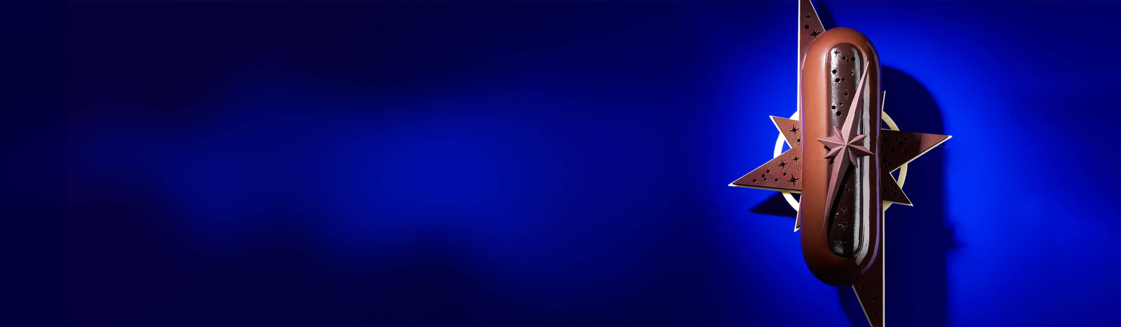 Bûche de Noël de luxe au chocolat