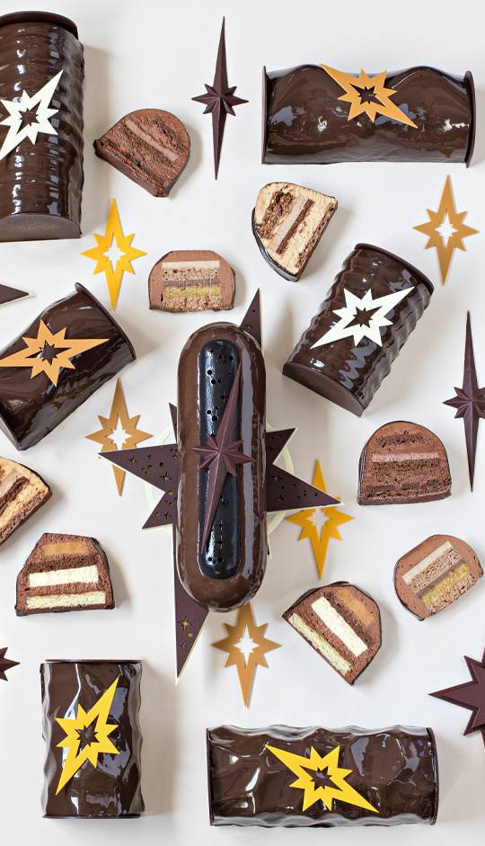 Assortiment de bûches de Noël au chocolat haut de gamme