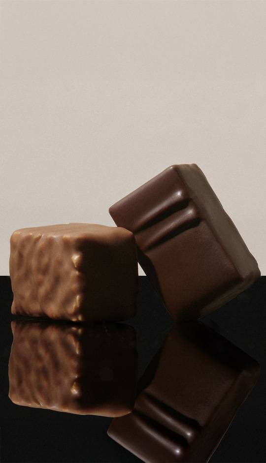 Duo de chocolats pralinés noir et lait