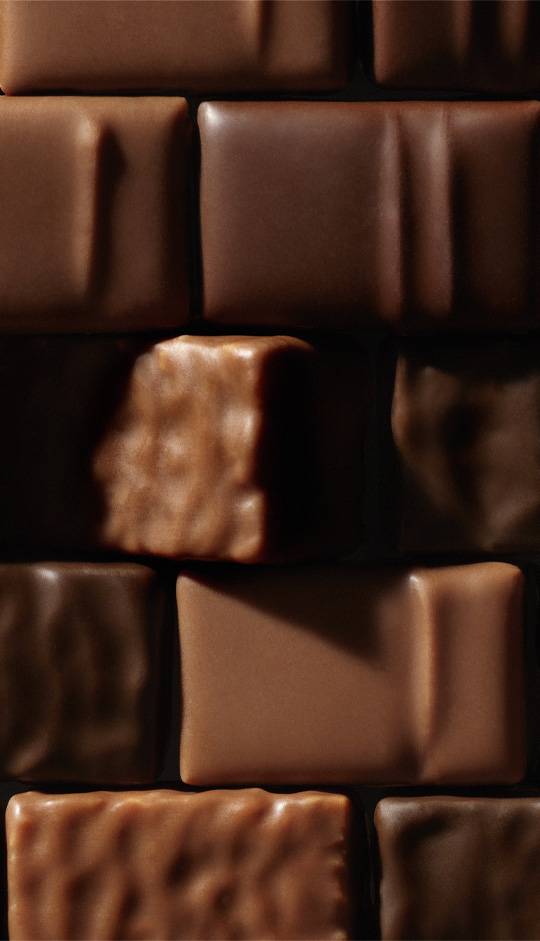Pralinés au chocolat