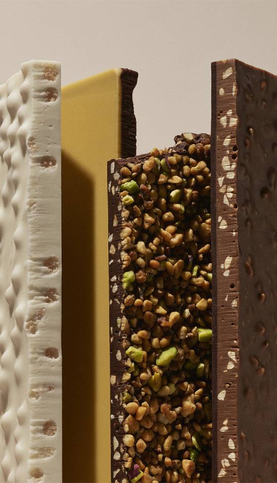 Tablettes de chocolat luxe aux fruits secs