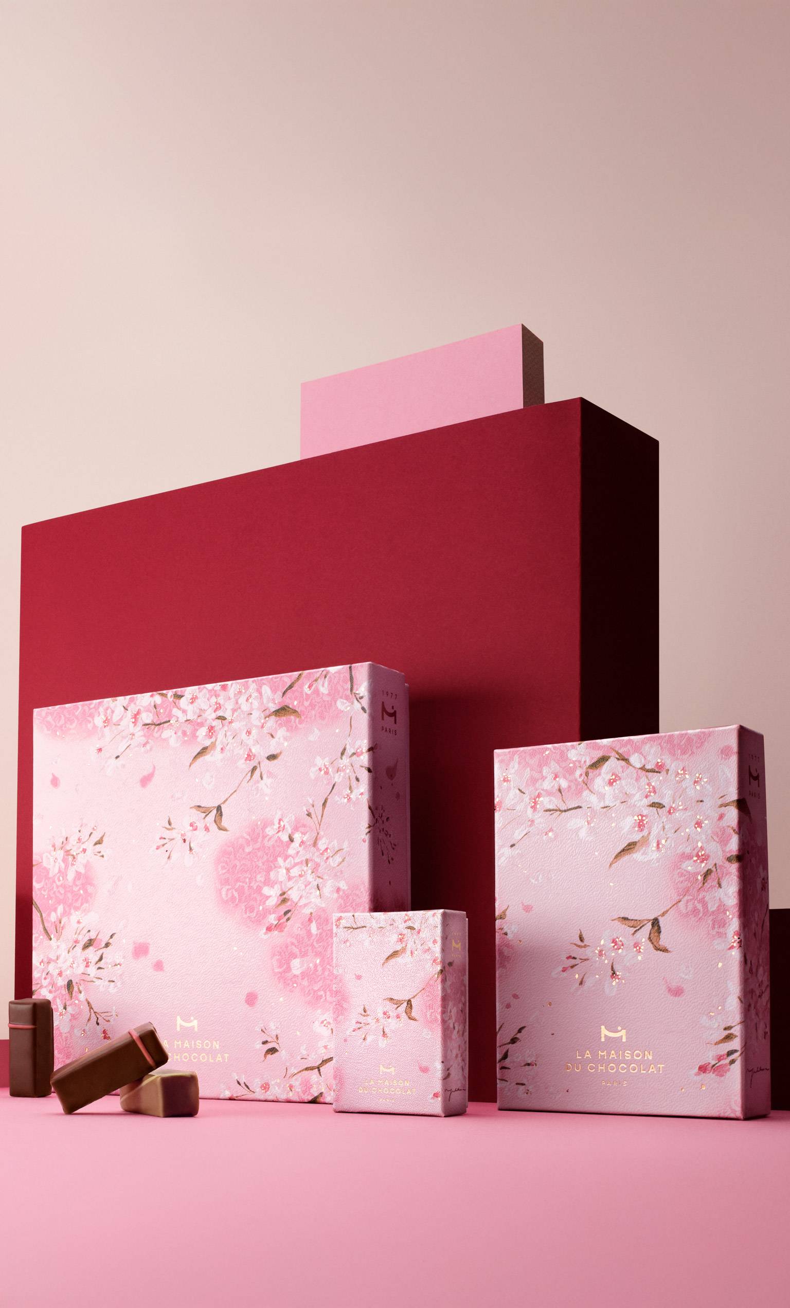 フランス製高級チョコレート オンラインブティック - ラ・メゾン・デュ