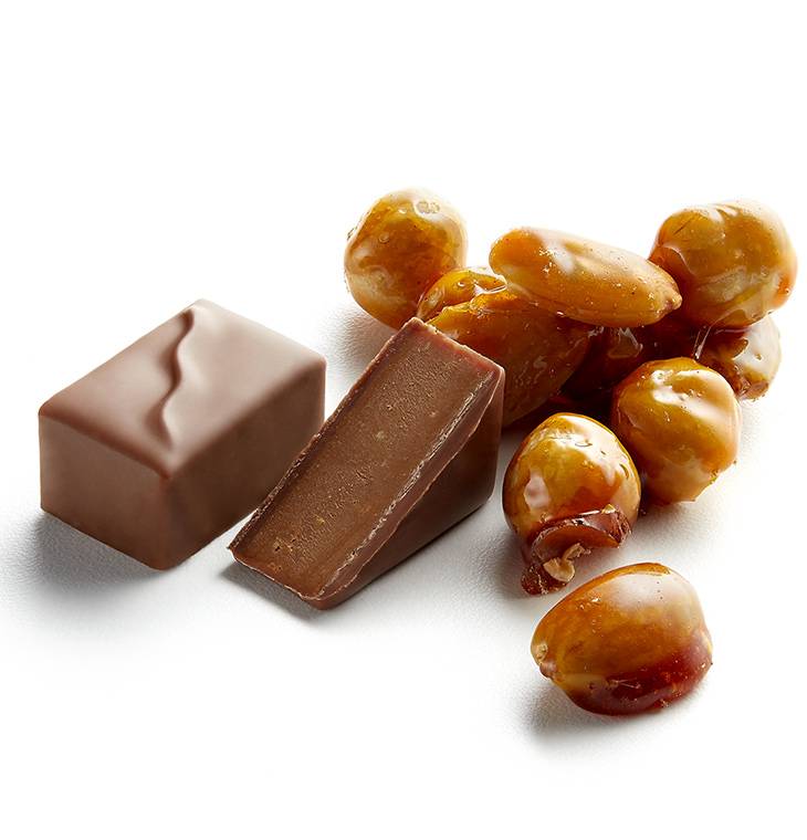 Figaro Praline - La Maison du Chocolat