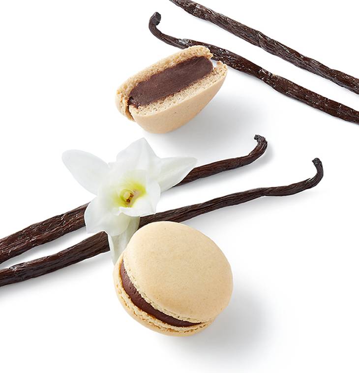 Guayaquil Macaron - La Maison du Chocolat