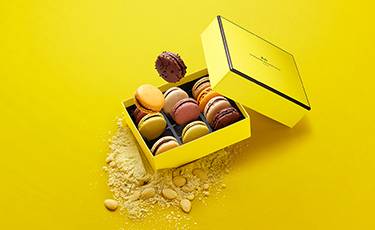 La Maison du Chocolat - Online chocolate shop, buy french