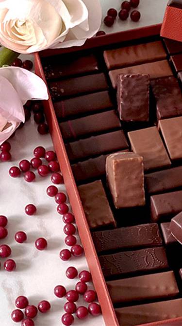 Gourmet Chocolate, Luxurious Chocolate