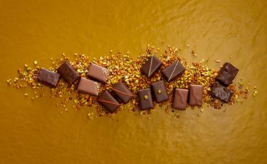 Achat en ligne chocolat - La Maison du Chocolat